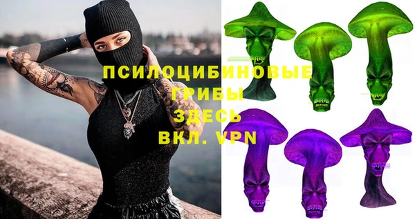 спайс Алексин