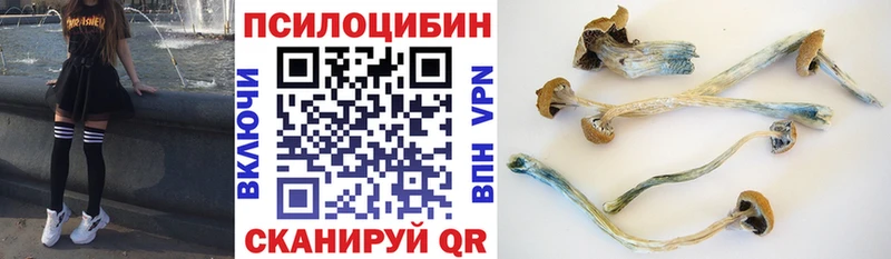 Псилоцибиновые грибы GOLDEN TEACHER  цены   Шебекино 